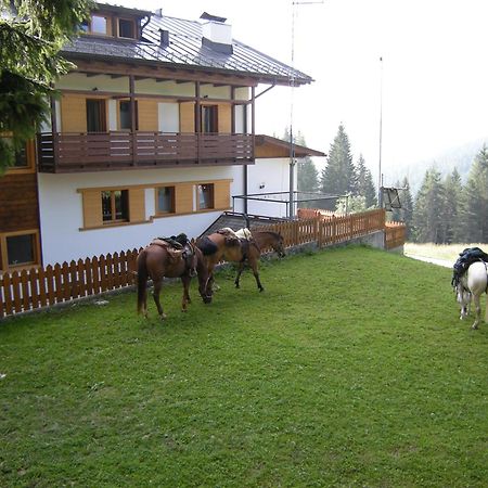 Hotel Piccolo Pocol Cortina dʼAmpezzo Eksteriør bilde