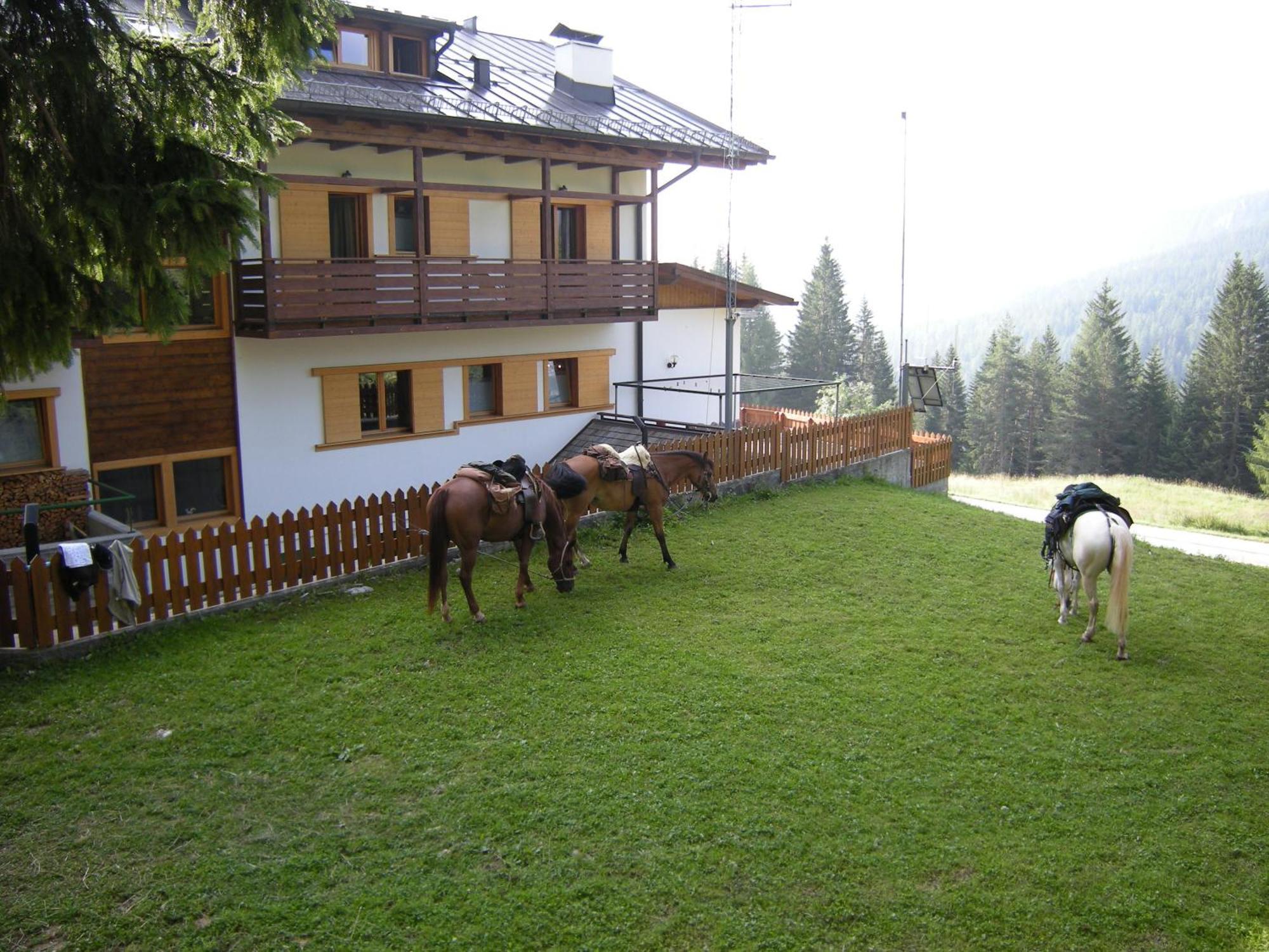 Hotel Piccolo Pocol Cortina dʼAmpezzo Eksteriør bilde